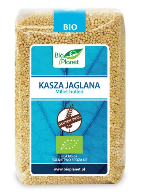 KASZA JAGLANA BEZGLUTENOWA BIO 500 g - BIO PLANET BIO PLANET - seria NIEBIESKA (ryże, kasze, ziarna) KASZA JAGLANA BEZGLUTENOWA BIO 500 g - BIO PLANET BIO PLANET - seria NIEBIESKA (ryże, kasze, ziarna)