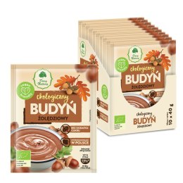 BUDYŃ ŻOŁĘDZIOWY BEZ DODATKU CUKRU BIO 40 g - DARY NATURY DARY NATURY - inne BIO