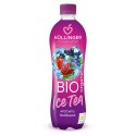 NAPÓJ ICE TEA O SMAKU OWOCÓW LEŚNYCH BIO 500 ml - HOLLINGER HOLLINGER (soki, nektary, napoje, syropy) NAPÓJ ICE TEA O SMAKU OWOCÓW LEŚNYCH BIO 500 ml - HOLLINGER HOLLINGER (soki, nektary, napoje, syropy)