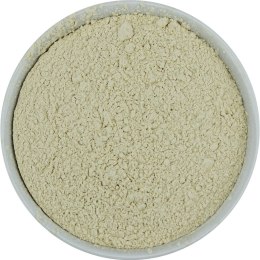 BIAŁKO RYŻOWE BIO (SUROWIEC) (20 kg) HORECA BIO - surowce